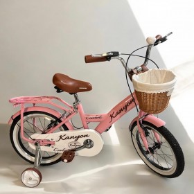 16 Jant kanyon 2026 özel seri  BMX  4-7 Yaş