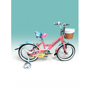 16 Jant summer2027 özel seri  BMX  4-7 Yaş